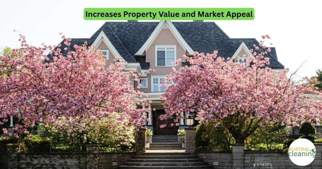 External House Cleaning