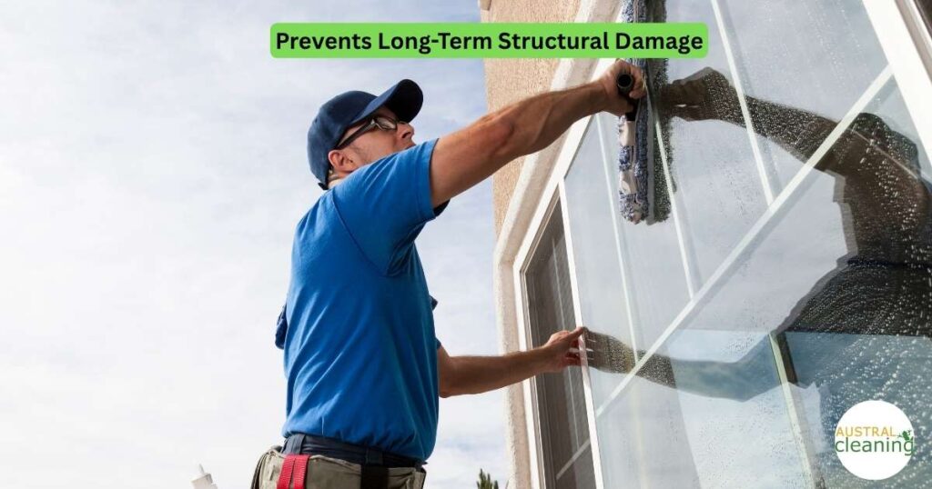 External House Cleaning