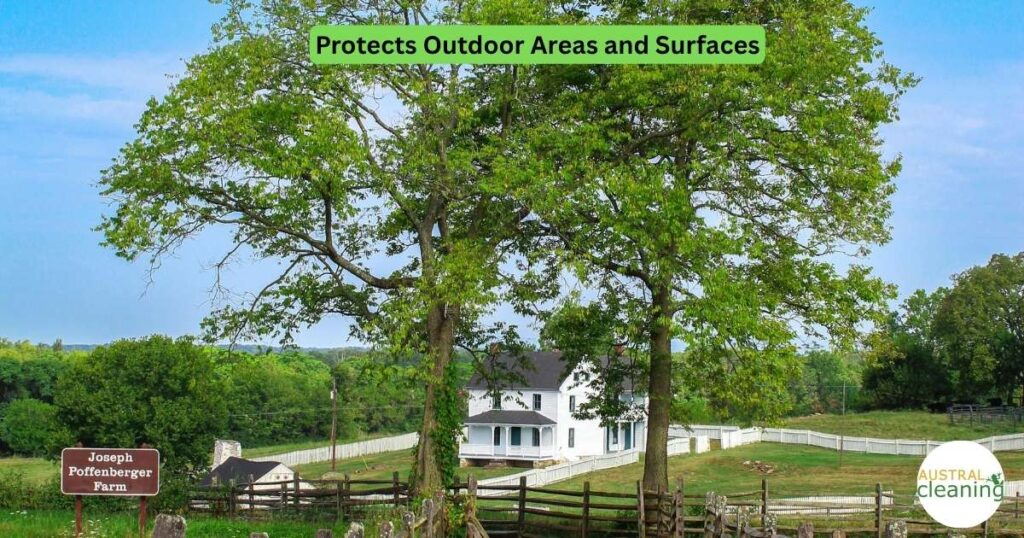 External House Cleaning