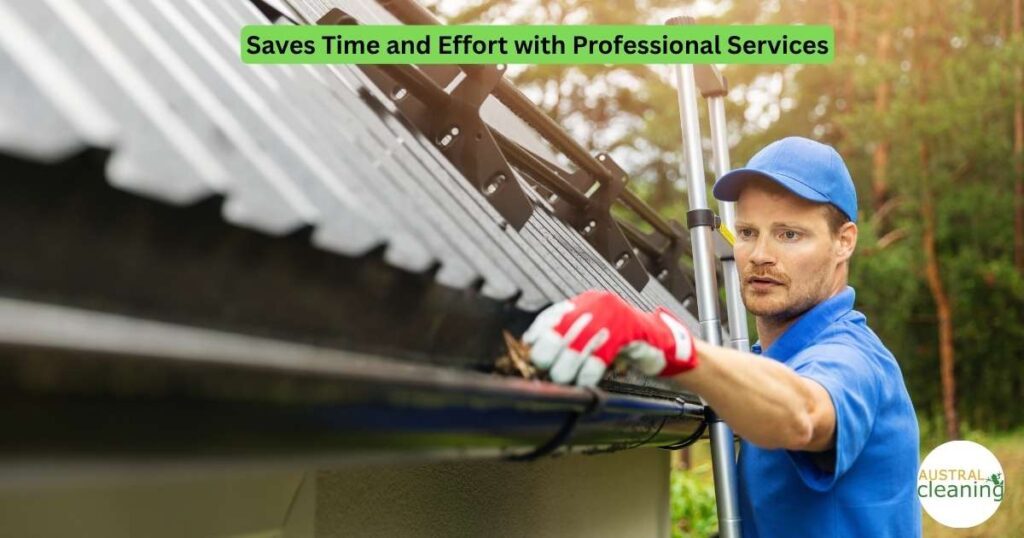 External House Cleaning