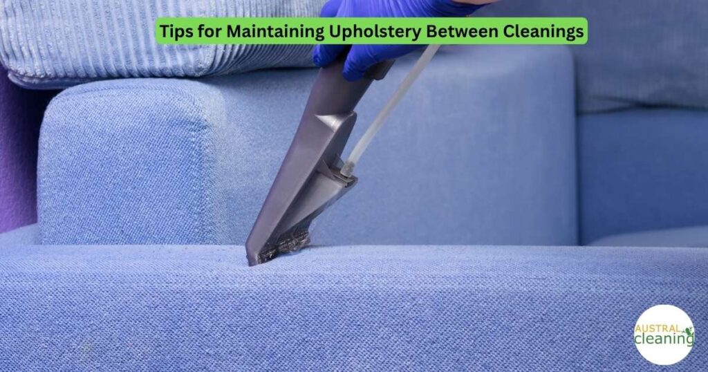 Upholstery Cleaner