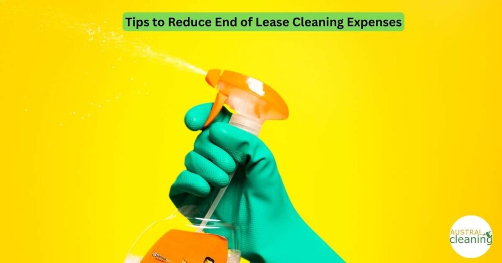 End of lease cleaning